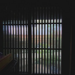 世田谷のコッテイジ、趣味のガーデニングの小さな住まいから多世代住宅へのリノベーション (玄関から見た中庭)