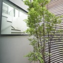 プライベートバルコニーを持つ家／東京都世田谷区の写真 植栽が揺れる坪庭