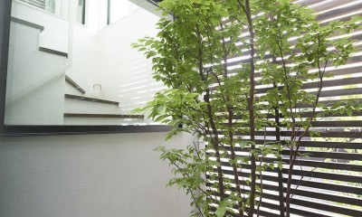 植栽が揺れる坪庭｜プライベートバルコニーを持つ家／東京都世田谷区