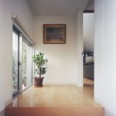 「高窓と中庭の家」の写真 エントランス