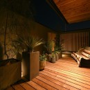 光と観葉植物の家の写真 ベランダ夜