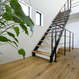 光と観葉植物の家 (階段)