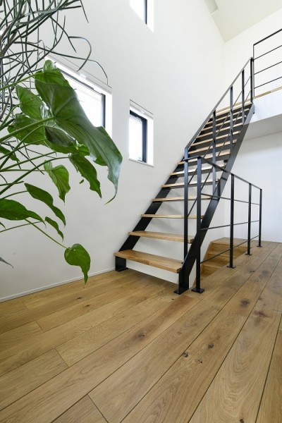 階段 (光と観葉植物の家)