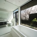 眺望の家／神奈川県横浜市の写真 ガラス張りのバスルーム
