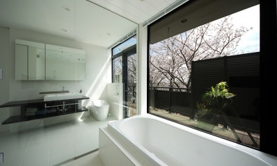 眺望の家／神奈川県横浜市 (ガラス張りのバスルーム)
