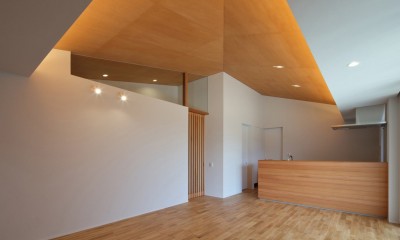 LDK｜SQ-FLAT　方形屋根の30坪木造平屋住宅