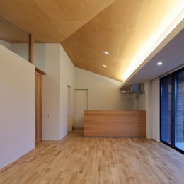 SQ-FLAT　方形屋根の30坪木造平屋住宅 (LDK)