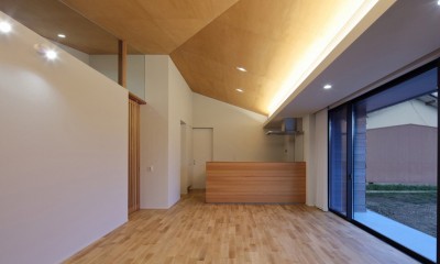 SQ-FLAT　方形屋根の30坪木造平屋住宅 (LDK)