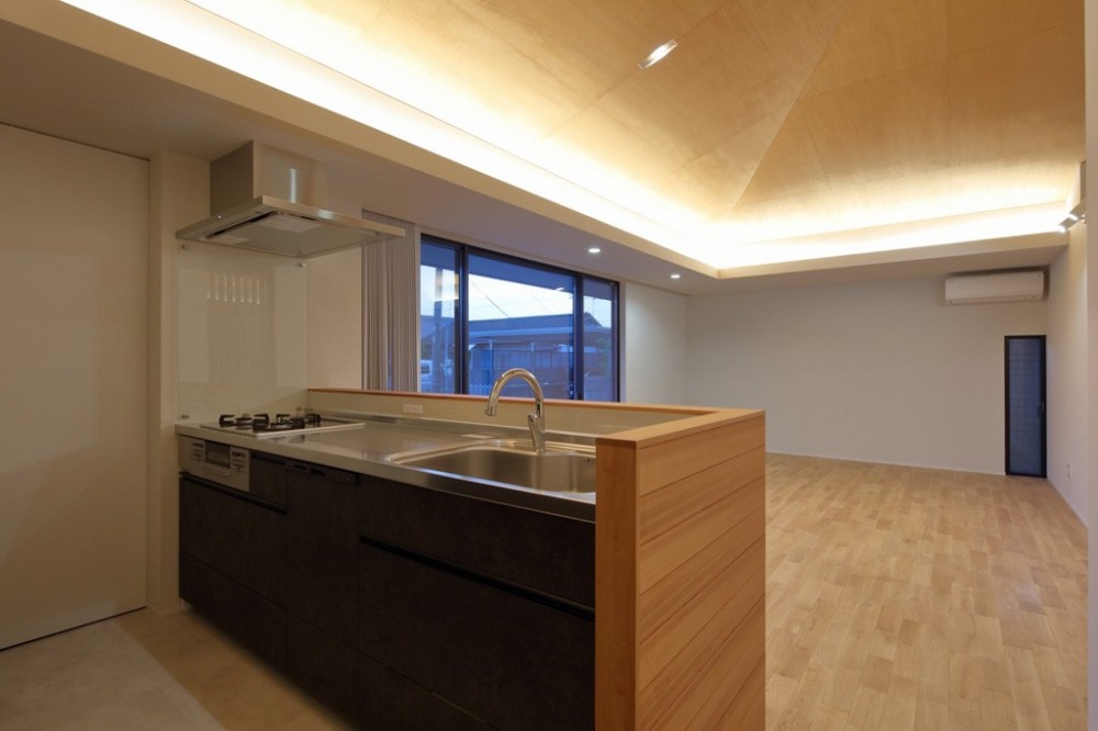 SQ-FLAT　方形屋根の30坪木造平屋住宅 (キッチン)