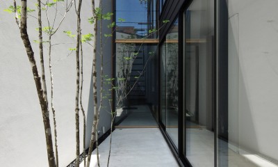 三河の家-mikawa (中庭)