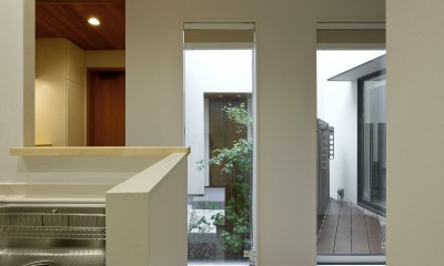 回遊&スキップフロアの2世帯住宅｜ナカニワTKハウス (中庭の景色が見えるキッチン)