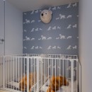 ヴィンテージマンションのスケルトンリノベーションの写真 愛犬たちのベッドスペース