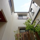 回遊&スキップフロアの2世帯住宅｜ナカニワTKハウスの写真 中庭を見上げる