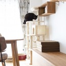 愛猫と気ままな暮らし~造作キャットウォークと人の集まるキッチンの写真 キャットウォークになる飾り棚