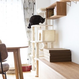 愛猫と気ままな暮らし~造作キャットウォークと人の集まるキッチン (キャットウォークになる飾り棚)