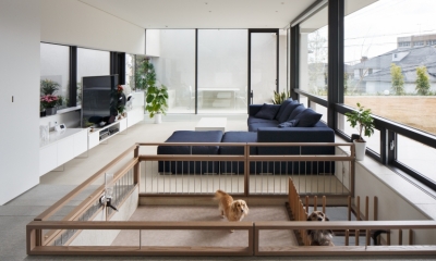 「S Residence」斜面地に建つ開放的な邸宅 (Dogs' Room)