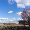 新篠津西の家　田園風景を楽しむ小さな平屋｜新築の写真 田畑や防風林の広がる風景。