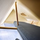 上野芝の家の写真 リビング天井