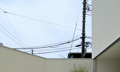 世田谷の家/House in setagaya (テラス)