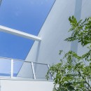 ミニマルデザインと立体的な中庭が特徴の家の写真 立体的に展開する光庭