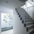 ミニマルデザインと立体的な中庭が特徴の家の写真 ミニマルな階段とシンボルツリー