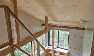 草津別荘ー森の中でひっそりと過ごす家ー (階段上からラウンジを見る)