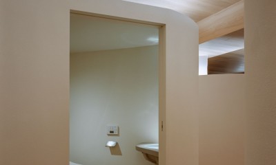 六甲のマンションリノベーション (トイレ)