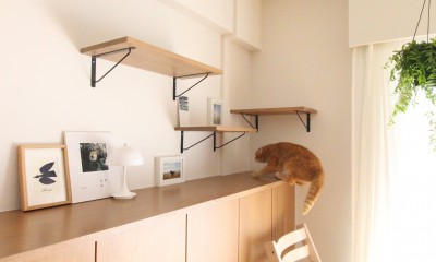 猫が飛び乗るカウンター収納｜ワークスペースと収納の充実でお家時間の過ごしやすさを向上！