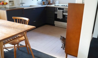 東京都M様邸　ー猫とロンドンをテーマにした戸建てリノベーションー (キッチン)
