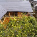 府中の家　庭と暮らす終の住処｜新築の写真 柚子の木を囲う平面計画