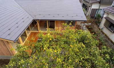 柚子の木を囲う平面計画｜府中の家　庭と暮らす終の住処｜新築