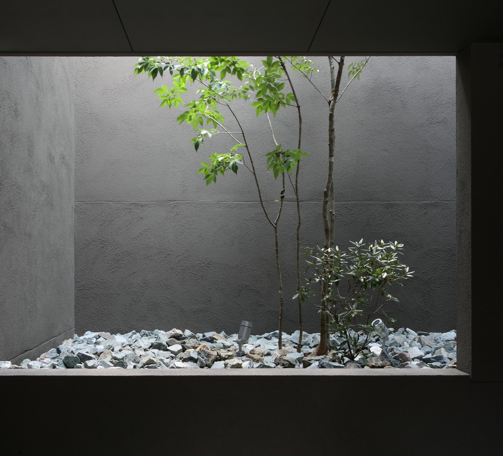 レモン坂の家〜斜面地の傾斜を活かしたスキップフロアハウス〜 (立体的に光を取り入れる中庭)