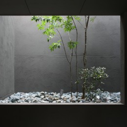 立体的に光を取り入れる中庭 (レモン坂の家〜斜面地の傾斜を活かしたスキップフロアハウス〜)