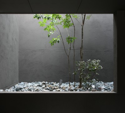 立体的に光を取り入れる中庭 (レモン坂の家〜斜面地の傾斜を活かしたスキップフロアハウス〜)