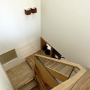 回遊＆スキップの3階建て｜クランク通りの家の写真 階段見下ろし