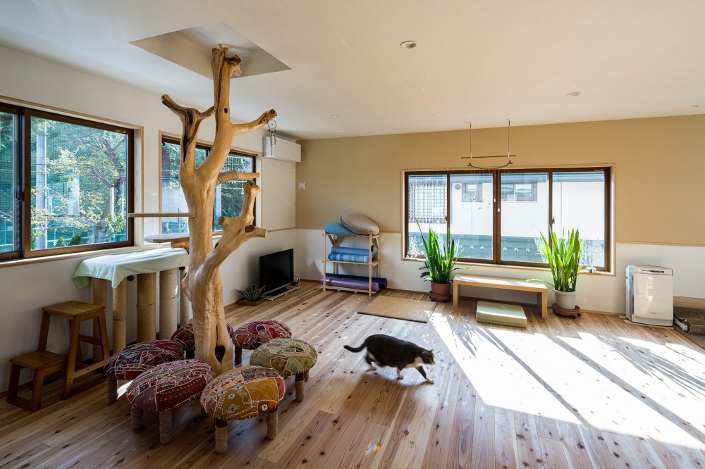 猫ちゃんとのびのび暮らす木の家 (2階)