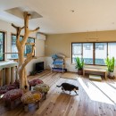 猫ちゃんとのびのび暮らす木の家の写真 2階