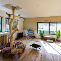 猫ちゃんとのびのび暮らす木の家