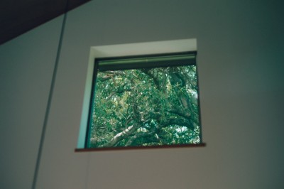 雑木を望む窓 (庭とつながる暮らし)