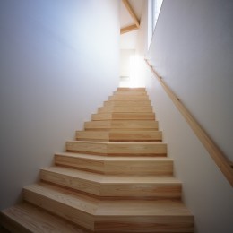 下田町の家_変形敷地を活かした多角形の住まい (玄関・階段)