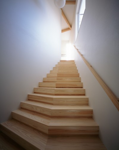玄関・階段 (下田町の家_変形敷地を活かした多角形の住まい)