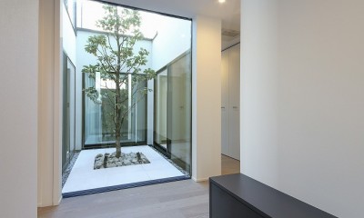 空とつながる回廊の家（オフィス・事務所併用住宅）／神奈川県横浜市 (中庭のシンボルツリーを望む玄関)