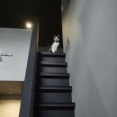 house with catsの写真 ロフト階段とネコ
