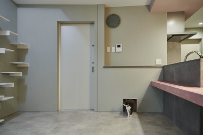 ネコ入り口 (house with cats)