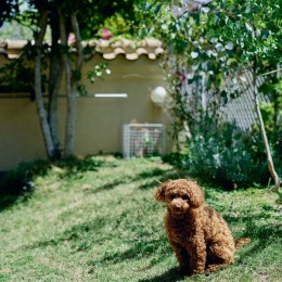 犬も遊べる庭付きのマンション (愛犬も喜ぶ、キンモクセイの咲く庭)