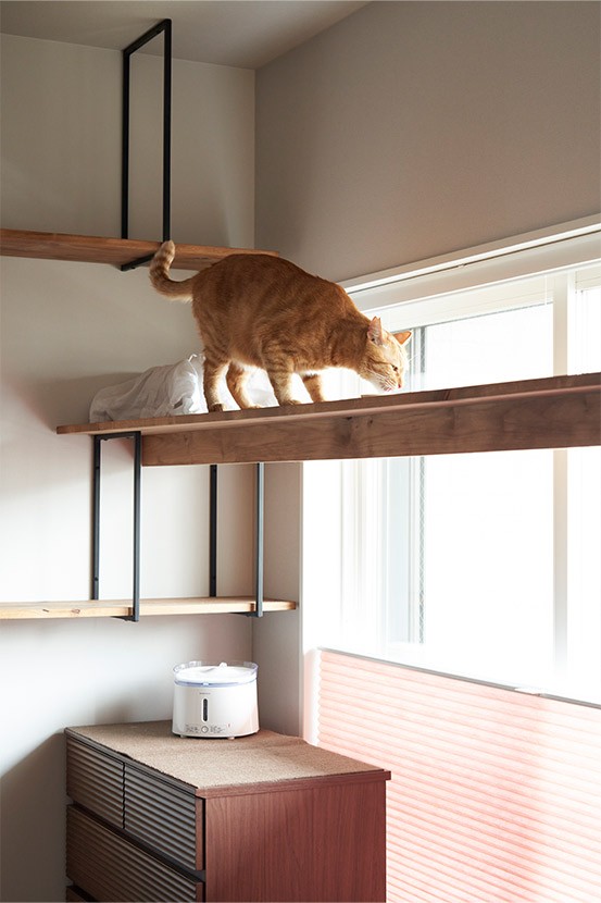 リビングダイニング事例：掃き出し窓を横切るキャットウォーク（愛猫は安全に、自分自身は“ズボラ”に。ネコと自分が双方無理なく楽しく暮らせる家。）