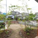 吹抜けで家族が繋がる高性能住宅〜袖ヶ浦・蔵波台の住まいの写真 お庭の植栽