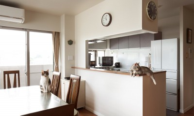 形状は変えずに使いやすいキッチンへ｜料理好きの奥様と気ままな愛猫たちが幸せな住まいを、旦那様が主導でプランニング。