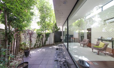 緑とアートを愉しむ都心の平屋／東京都世田谷区 (リビングに面した三角形の庭)