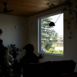 151.Kitamoto House (窓)